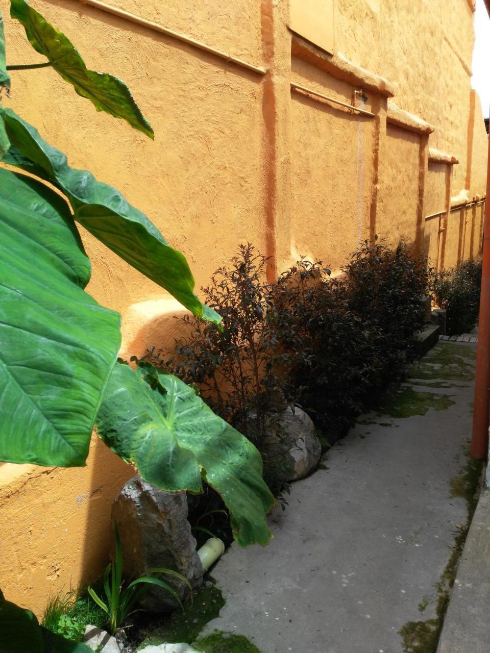 Casa-Arbol Bogotá Exterior foto